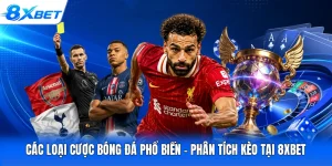 Các Loại Cược Bóng Đá Phổ Biến - Phân Tích Kèo Tại 8XBET