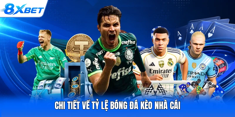 Chi tiết về tỷ lệ bóng đá kèo nhà cái